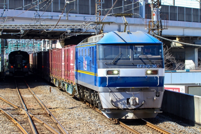 JR貨物 EF210形 EF210-361 鉄道フォト・写真 by BBsanさん 武蔵浦和駅：2024年03月10日12時ごろ