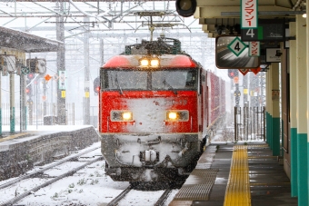 JR貨物 EF510形 EF510-13 鉄道フォト・写真 by BBsanさん 新津駅：2024年03月04日09時ごろ