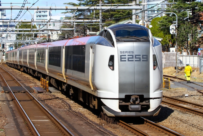 JR東日本E259系 クロE259形(Tsc) 鉄道フォト・写真 by BBsanさん 原宿駅：2024年02月26日13時ごろ