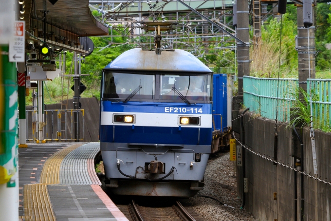 JR貨物 EF210形 EF210-114 鉄道フォト・写真 by BBsanさん 北府中駅：2024年05月29日10時ごろ