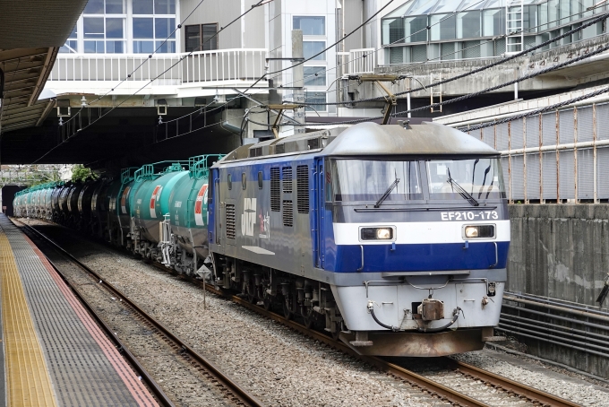 JR貨物 EF210形 EF210-173 鉄道フォト・写真 by BBsanさん 府中本町駅：2024年05月29日11時ごろ