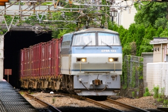 JR貨物 国鉄EF66形電気機関車 EF66-123 鉄道フォト・写真 by BBsanさん 府中本町駅：2024年05月29日12時ごろ