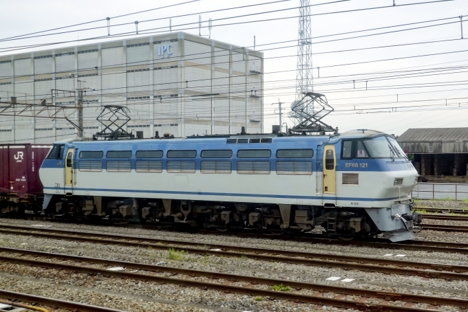 JR貨物 国鉄EF66形電気機関車 EF66-121 鉄道フォト・写真 by BBsanさん 新座駅：2024年06月13日14時ごろ