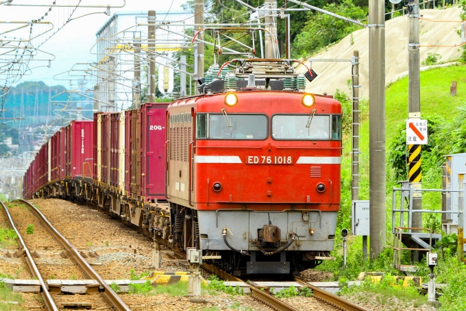 鉄道フォト・写真：JR貨物 国鉄ED76形電気機関車 ED76-1018 弥生が丘駅 鉄道フォト・写真 by BBsanさん - 撮影日 2024/07/13 13:16