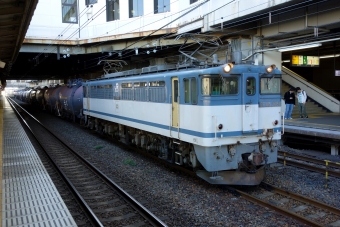 JR貨物 国鉄EF65形電気機関車 2050 鉄道フォト・写真 by BBsanさん 小山駅：2014年11月14日14時ごろ