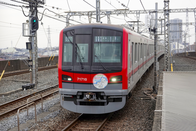 東武鉄道 東武70000系電車 ホワイトタイガー赤ちゃん誕生記念 71710