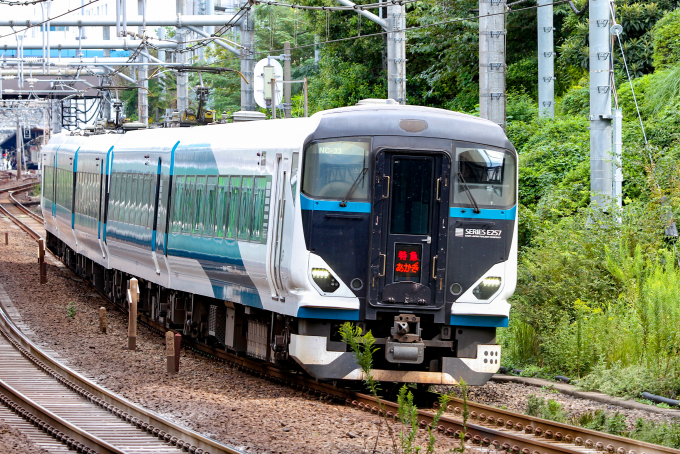 JR東日本 クハE256-2513 (E257系 ) 車両ガイド | レイルラボ(RailLab)