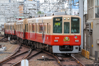 阪神電鉄 8239 鉄道フォト | レイルラボ(RailLab)