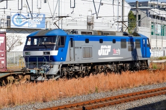 JR貨物 EF210形 EF210-169 鉄道フォト・写真 by BBsanさん 茅ケ崎駅：2019年11月21日09時ごろ