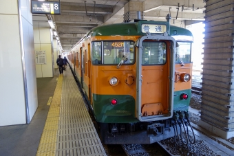 JR東日本 国鉄115系電車 鉄道フォト・写真 by BBsanさん 小山駅：2014年11月13日12時ごろ