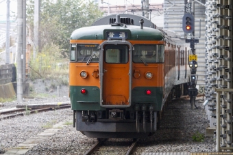 JR東日本 国鉄115系電車 鉄道フォト・写真 by BBsanさん 小山駅：2014年10月31日13時ごろ