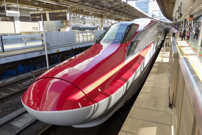 JR東日本 E6系新幹線電車 鉄道フォト・写真 by BBsanさん 東京駅 (JR)：2014年09月29日15時ごろ