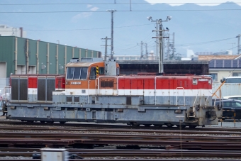 JR貨物 国鉄DE11形ディーゼル機関車 DE11 2003 鉄道フォト・写真 by BBsanさん ：2021年02月26日09時ごろ
