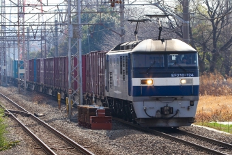JR貨物 EF210形 EF210-124 鉄道フォト・写真 by BBsanさん 川崎新町駅：2021年03月01日10時ごろ