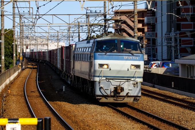 JR貨物 国鉄EF66形電気機関車 EF66-113 鉄道フォト・写真 by BBsanさん 新座駅：2021年03月14日15時ごろ