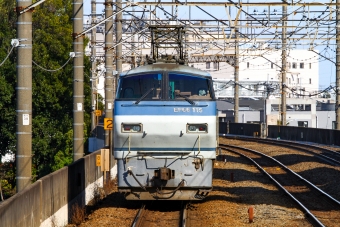 JR貨物 国鉄EF66形電気機関車 EF66-115 鉄道フォト・写真 by BBsanさん 新座駅：2021年03月14日14時ごろ