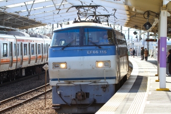 JR貨物 国鉄EF66形電気機関車 EF66-115 鉄道フォト・写真 by BBsanさん 新座駅：2021年03月14日14時ごろ