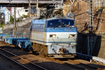 JR貨物 国鉄EF66形電気機関車 EF66-113 鉄道フォト・写真 by BBsanさん 新秋津駅：2021年03月14日16時ごろ