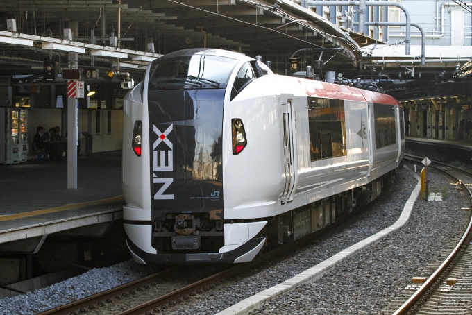 JR東日本E259系電車 成田エクスプレス クロE259-1 品川駅 (JR) 鉄道