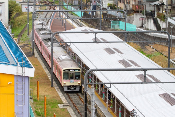 鉄道フォト・写真：京王電鉄 京王7000系電車 7801 多摩動物公園駅 (京王) 鉄道フォト・写真 by BBsanさん - 撮影日 2021/03/22 15:21