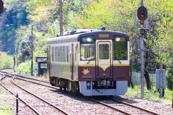 わたらせ渓谷鐵道 WKT-500形 WKT-502 鉄道フォト・写真 by BBsanさん 神戸駅 (群馬県)：2021年04月09日14時ごろ