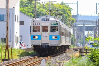 秩父鉄道5000系電車 5203 鉄道フォト・写真 by BBsanさん ひろせ野鳥の森駅：2021年05月01日08時ごろ