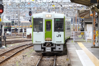 JR東日本 キハ111形 キハ111-206 鉄道フォト・写真 by BBsanさん 高崎駅 (JR)：2021年05月01日11時ごろ