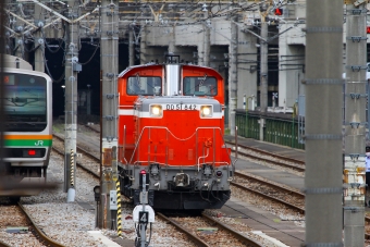 JR東日本 国鉄DD51形ディーゼル機関車 DD51-842 鉄道フォト・写真 by BBsanさん 高崎駅 (JR)：2021年05月01日12時ごろ
