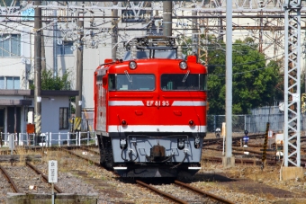 JR貨物 国鉄EF81形電気機関車 EF81-95 鉄道フォト・写真 by BBsanさん 水戸駅 (JR)：2021年05月08日08時ごろ
