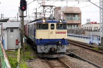 JR貨物 国鉄EF65形電気機関車 EF65-2074 鉄道フォト・写真 by BBsanさん 尻手駅：2021年06月14日15時ごろ