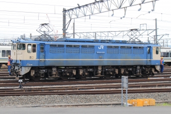 JR西日本 国鉄EF65形電気機関車 EF65-1135 鉄道フォト・写真 by キイロイトリさん 梅小路京都西駅：2021年06月25日12時ごろ
