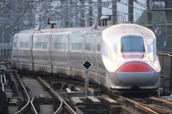 JR東日本 E611形(M1sc) こまち(新幹線) E611-2 鉄道フォト・写真 by キイロイトリさん 盛岡駅 (JR)：2021年09月07日17時ごろ