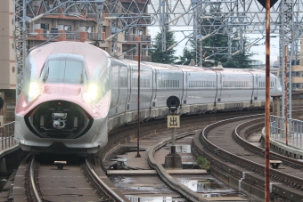 JR東日本 E611形(M1sc) やまびこ(新幹線) E611-16 鉄道フォト・写真 by キイロイトリさん 仙台駅 (JR)：2022年07月28日17時ごろ