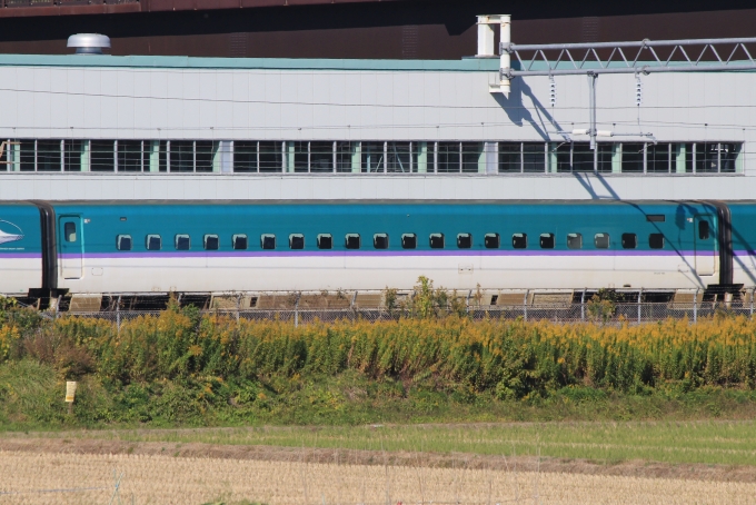 JR北海道 H526形(M2) H526-102 鉄道フォト・写真 by キイロイトリさん 新利府駅：2022年11月02日11時ごろ
