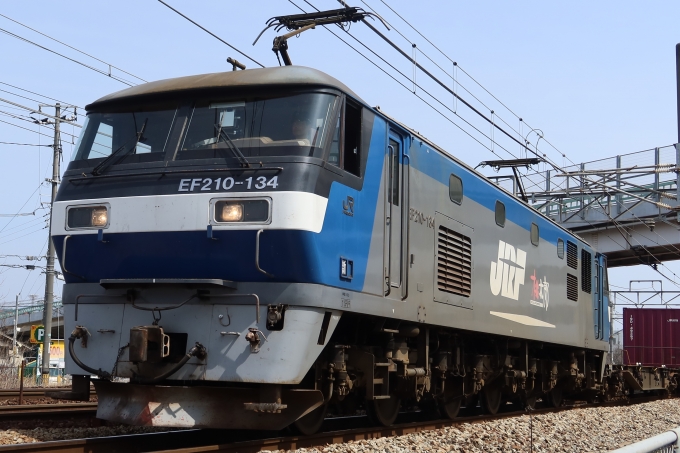 鉄道フォト・写真：JR貨物EF210形電気機関車 EF210-134 岡山駅 鉄道フォト・写真 by てつどーめがねさん - 撮影日 2024/03/30 11:21