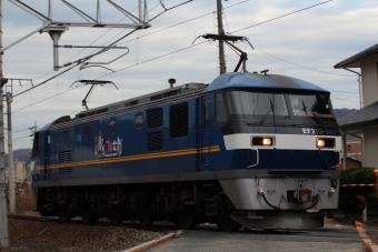 JR貨物 EF210形 EF210-349 鉄道フォト・写真 by やすのさん 八本松駅：2024年01月17日15時ごろ