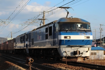 JR貨物 EF210形 EF210-110 鉄道フォト・写真 by やすのさん 八本松駅：2024年01月27日16時ごろ
