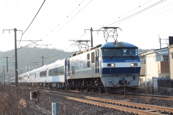 JR貨物 EF210形 EF210-901 鉄道フォト・写真 by やすのさん 八本松駅：2024年02月11日17時ごろ