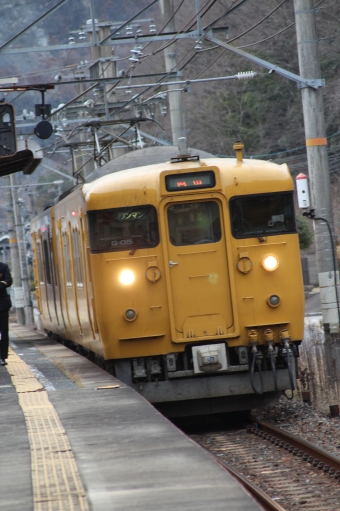 JR西日本 国鉄115系電車 鉄道フォト・写真 by やすのさん ：2024年02月03日14時ごろ