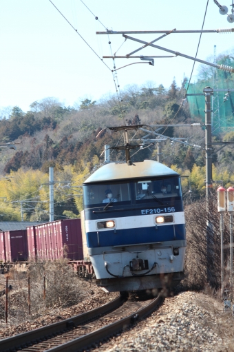 JR貨物 EF210形 EF210-156 鉄道フォト・写真 by やすのさん 八本松駅：2024年02月18日14時ごろ