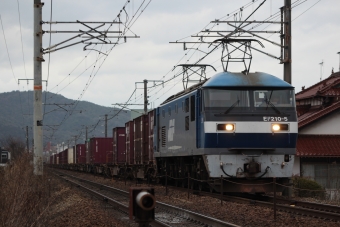 JR貨物 EF210形 EF210-5 鉄道フォト・写真 by やすのさん 八本松駅：2024年03月06日16時ごろ