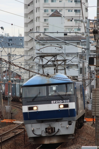JR貨物 EF210形 EF210-102 鉄道フォト・写真 by やすのさん 西条駅 (広島県)：2024年03月28日10時ごろ