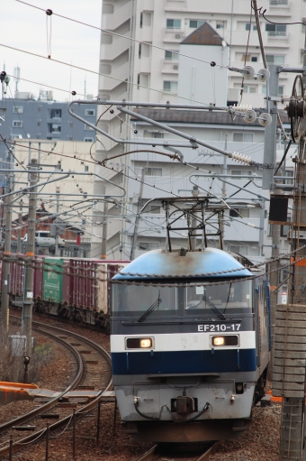 JR貨物 EF210形 EF210-17 鉄道フォト・写真 by やすのさん 西条駅 (広島県)：2024年03月28日10時ごろ