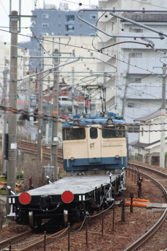JR西日本 国鉄EF65形電気機関車 EF65-1131 鉄道フォト・写真 by やすのさん 西条駅 (広島県)：2024年03月28日11時ごろ