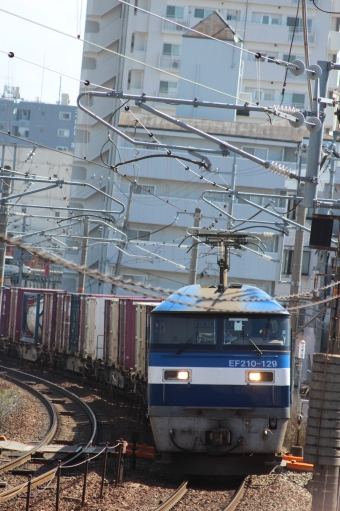 JR貨物 EF210形 EF210-129 鉄道フォト・写真 by やすのさん 西条駅 (広島県)：2024年03月29日10時ごろ