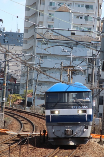 JR貨物 EF210形 EF210-356 鉄道フォト・写真 by やすのさん 西条駅 (広島県)：2024年03月29日11時ごろ