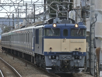 JR東日本 国鉄EF64形電気機関車 EF64-1030 鉄道フォト・写真 by たちかわさん ：2024年01月24日13時ごろ