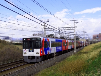 京阪電鉄 8000系 鉄道フォト・写真 by Yotch-E5さん ：2024年01月25日11時ごろ
