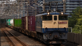 JR貨物 EF65-2066 鉄道フォト・写真 by ころもさん 検見川浜駅：2023年08月21日11時ごろ