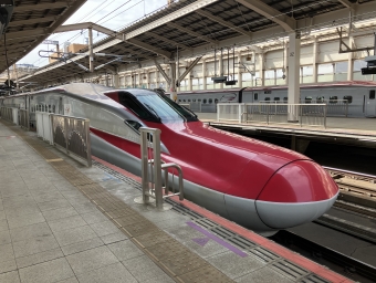 JR東日本 こまち(新幹線) 鉄道フォト・写真 by Aoba_233さん 仙台駅 (JR)：2024年03月25日10時ごろ
